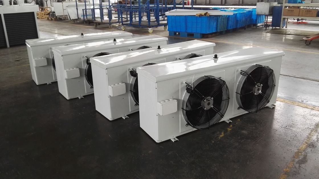 DL/DD/DJ περίπατος στη δροσερή μονάδα 2.6Mpa ψύξης δωματίων αεροψυχραντήρων κρύων δωματίων