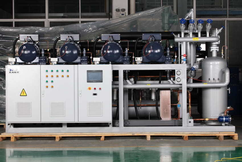 Multi-compressor condensing unit with screw compressors