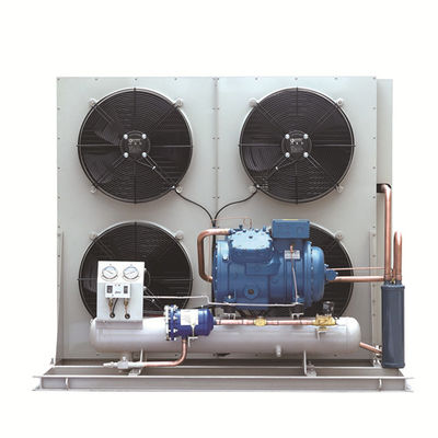 Copeland 5 συμπυκνώνοντας cOem συμπιεστών μονάδων HP 2hp